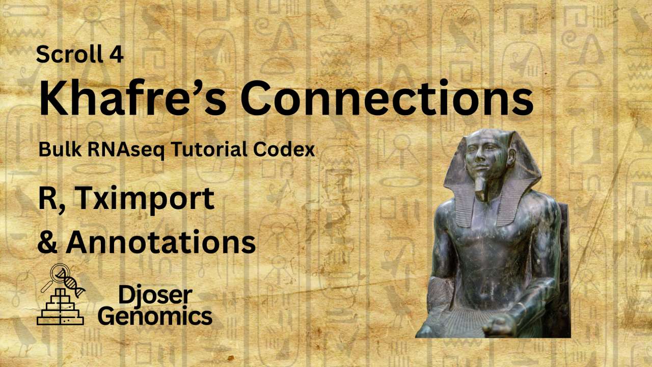Scroll 4: Khafre's Connections